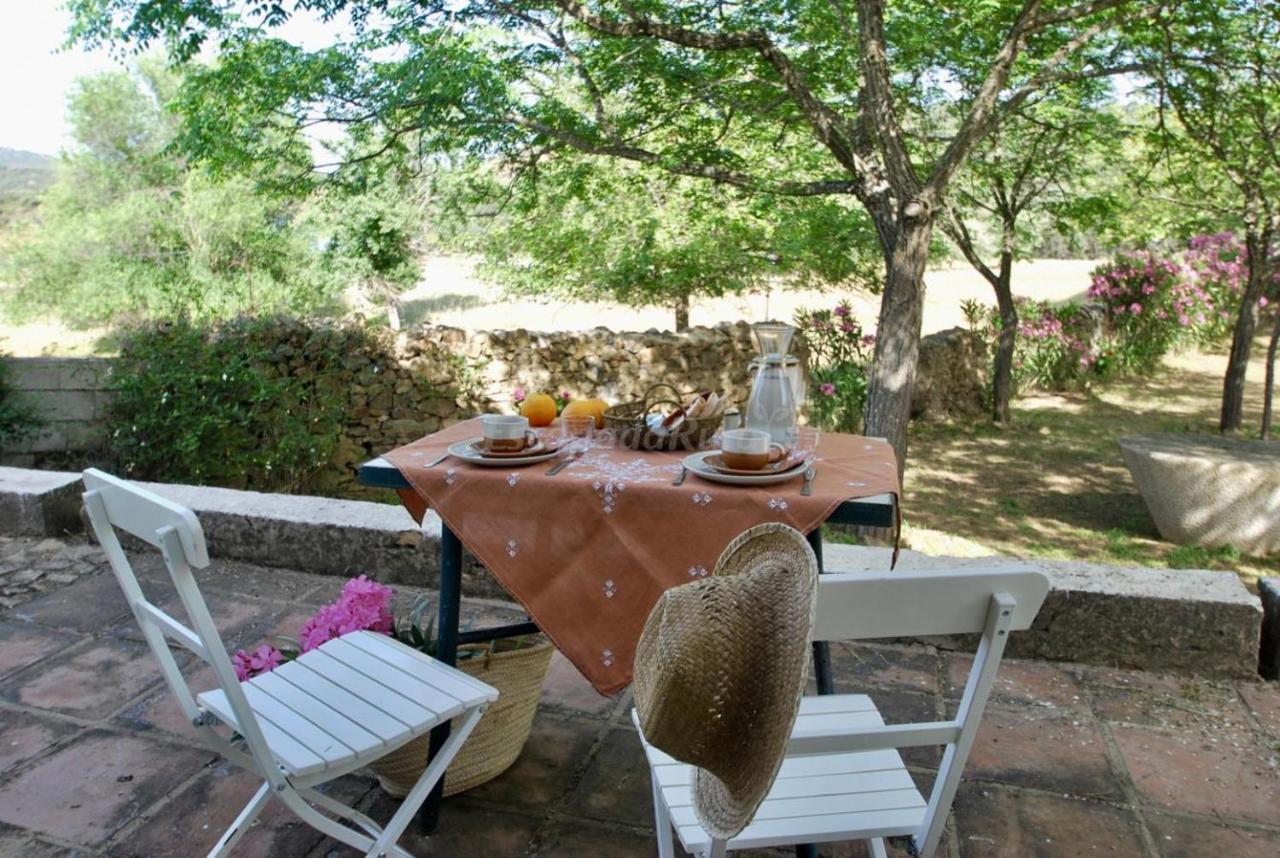 Finca La Vicaria Palomar Zufre Exteriér fotografie